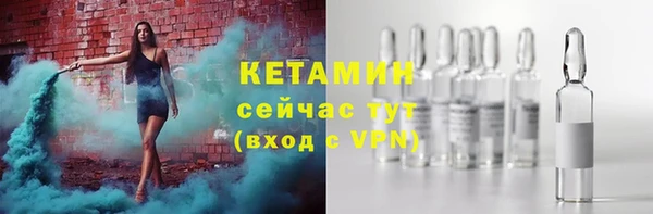 амф Дмитриев
