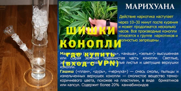 амф Дмитриев