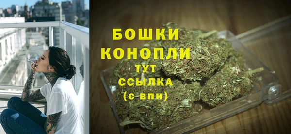 амф Дмитриев