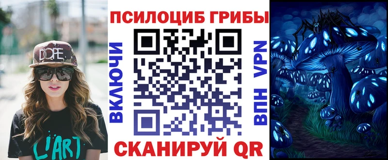 дарнет шоп  Егорьевск  Галлюциногенные грибы прущие грибы 